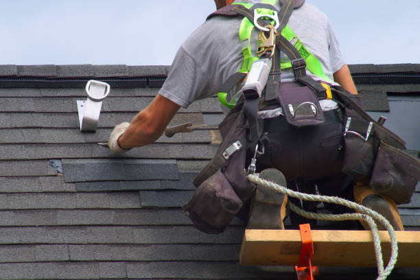 Storm Damage Siding Repair in Pascagoula, MS