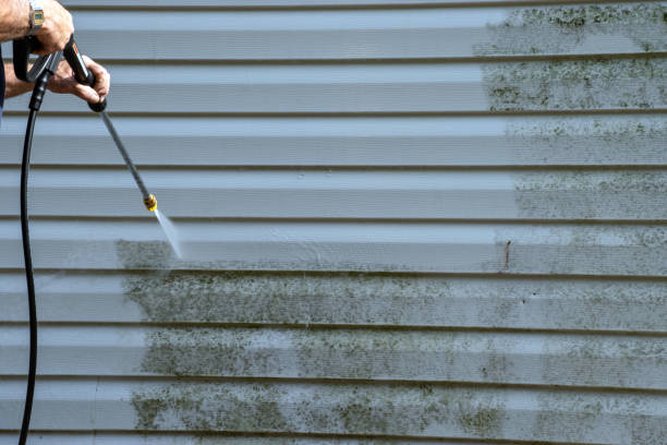 Best Storm Damage Siding Repair  in Pascagoula, MS