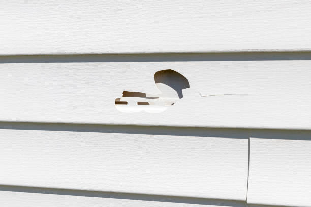 Affordable Siding Repair and Maintenance Services in Pascagoula, MS